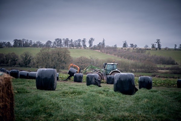 Wolfhall Farm - 18th Dec 2023 - 0023